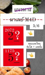 แนวทางหวยมาเลย์ 5/6/67 ชุดที่ 2