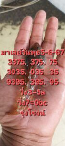 แนวทางหวยมาเลย์ 5/6/67 ชุดที่ 5