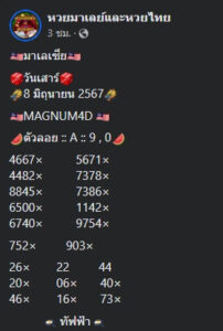 แนวทางหวยมาเลย์ 8/6/67 ชุดที่ 8