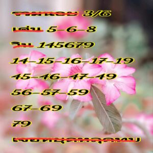 แนวทางหวยฮานอย 3/6/67 ชุดที่ 1
