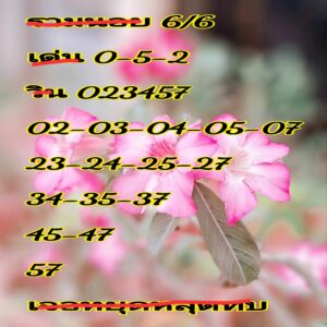 แนวทางหวยฮานอย 6/6/67 ชุดที่ 2