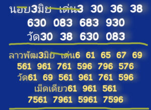 แนวทางหวยฮานอย 3/6/67 ชุดที่ 3