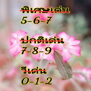 แนวทางหวยฮานอย 10/6/67 ชุดที่ 5