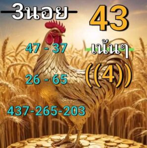 แนวทางหวยฮานอย 11/7/67 ชุดที่ 5