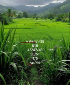 แนวทางหวยลาว 28/8/67 ชุดที่ 2
