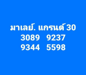 แนวทางหวยมาเลย์ 30/11/67 ชุดที่ 9