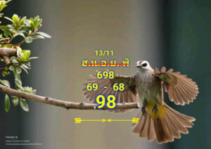 แนวทางหวยฮานอย 13/11/67 ชุดที่ 10