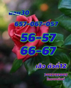 แนวทางหวยฮานอย 30/11/67 ชุดที่ 6