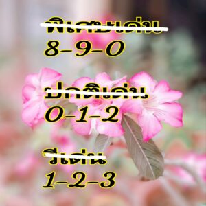 แนวทางหวยฮานอย 24/12/67 ชุดที่ 6