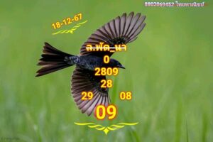 แนวทางหวยลาว 18/12/67 ชุดที่ 2