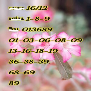 แนวทางหวยลาว 16/12/67 ชุดที่ 10