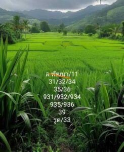 แนวทางหวยลาว 11/12/67 ชุดที่ 3