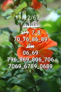 แนวทางหวยลาว 11/12/67 ชุดที่ 4