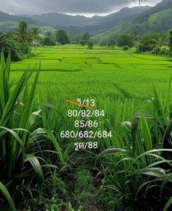 แนวทางหวยฮานอย 13/1/68 ชุดที่ 9
