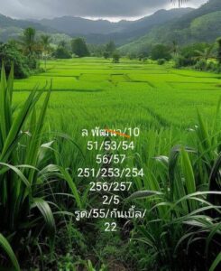 แนวทางหวยลาว 10/1/68 ชุดที่ 3