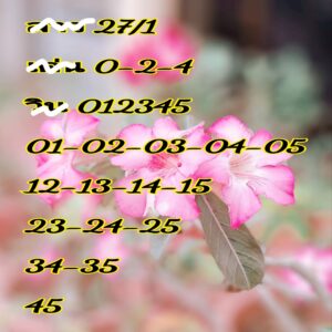 แนวทางหวยลาว 27/1/68 ชุดที่ 7