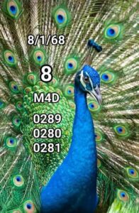 แนวทางหวยมาเลย์ 8/1/68 ชุดที่ 3