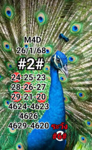 แนวทางหวยมาเลย์ 26/1/68 ชุดที่ 3