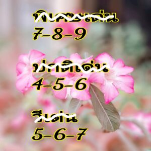 แนวทางหวยฮานอย 12/2/68 ชุดที่ 2
