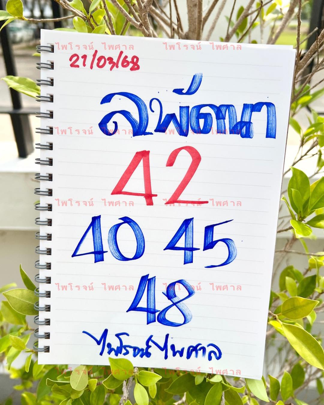 แนวทางหวยลาว 21/3/68-1