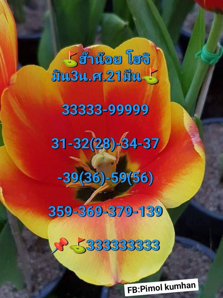 หวยฮานอย-21-3-68-5
